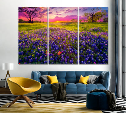 Bluebonnet Fields at Sunset Texas USA Canvas Print-Canvas Print-CetArt-1 Panel-24x16 inches-CetArt