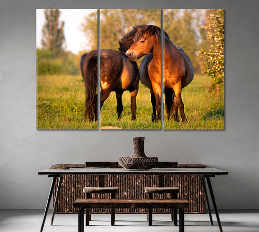 Pair of Exmoor Ponies Canvas Print-Canvas Print-CetArt-1 Panel-24x16 inches-CetArt