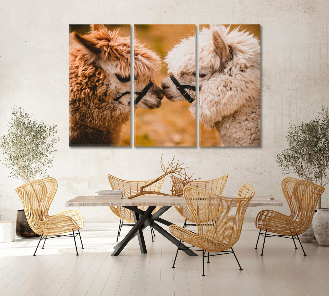 Two Fluffy Alpacas Canvas Print-Canvas Print-CetArt-1 Panel-24x16 inches-CetArt
