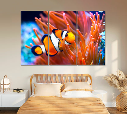 Bright Clownfish in Anemone Canvas Print-Canvas Print-CetArt-1 Panel-24x16 inches-CetArt