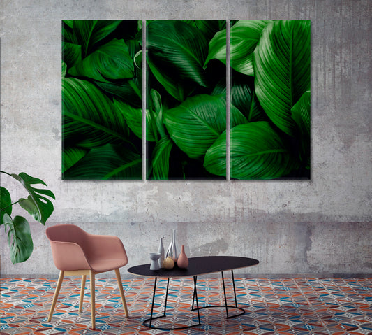 Tropical Leaves of Spathiphyllum Cannifolium Canvas Print-Canvas Print-CetArt-1 Panel-24x16 inches-CetArt