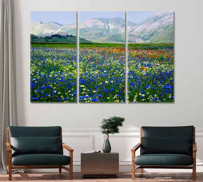 Castelluccio di Norcia Piana Grande Valley Umbria Italy Canvas Print-Canvas Print-CetArt-1 Panel-24x16 inches-CetArt