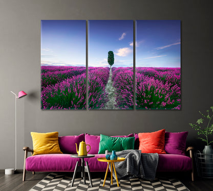 Lavender Fields at Sunset Italy Canvas Print-Canvas Print-CetArt-1 Panel-24x16 inches-CetArt