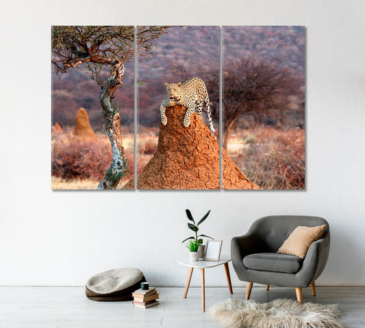 Leopard on a Termite Hill Namibia Africa Canvas Print-Canvas Print-CetArt-1 Panel-24x16 inches-CetArt