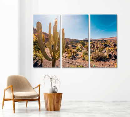 Cactus Garden Lanzarote Canary Islands Spain Canvas Print-Canvas Print-CetArt-1 Panel-24x16 inches-CetArt