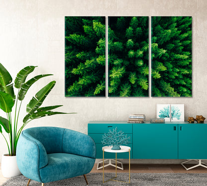 Spruce and Pine Trees Forest Finland Canvas Print-Canvas Print-CetArt-1 Panel-24x16 inches-CetArt