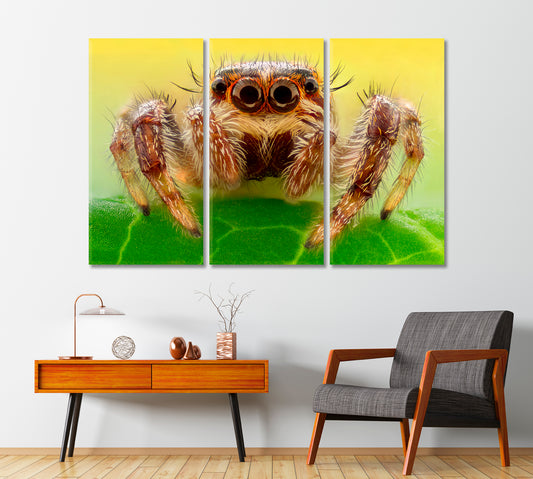 Huge Spider on a Leaf Canvas Print-Canvas Print-CetArt-1 Panel-24x16 inches-CetArt