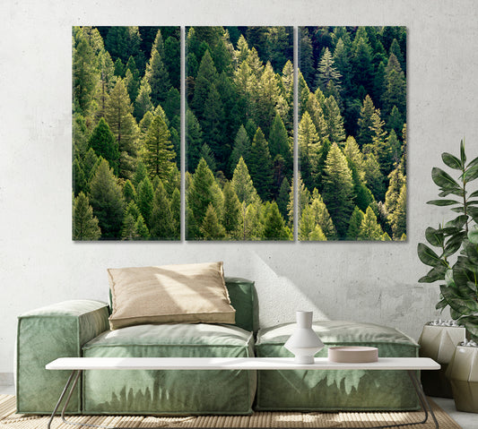 Amazing Dense Forest Canvas Print-Canvas Print-CetArt-1 Panel-24x16 inches-CetArt