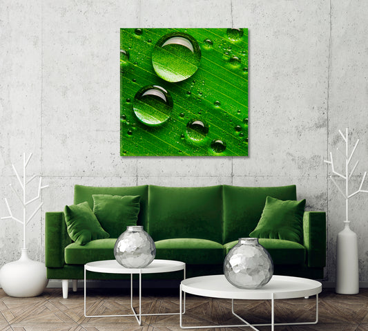 Water Droplets on Green Leaf Canvas Print-Canvas Print-CetArt-1 panel-12x12 inches-CetArt