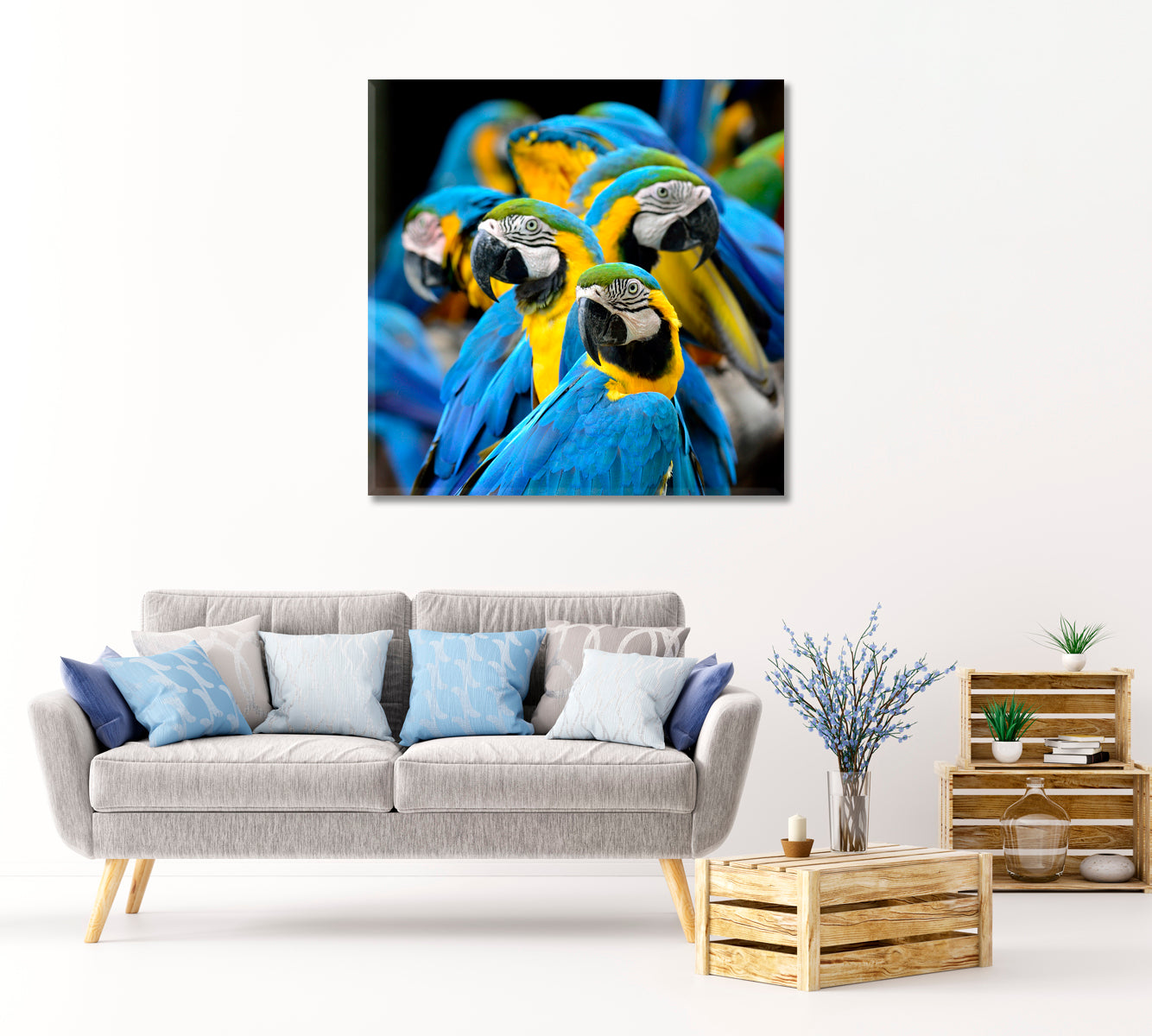 Blue and Gold Macaw Parrot Canvas Print-Canvas Print-CetArt-1 panel-12x12 inches-CetArt