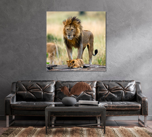 Wild Male Lion with Cub Kenya Canvas Print-Canvas Print-CetArt-1 panel-12x12 inches-CetArt