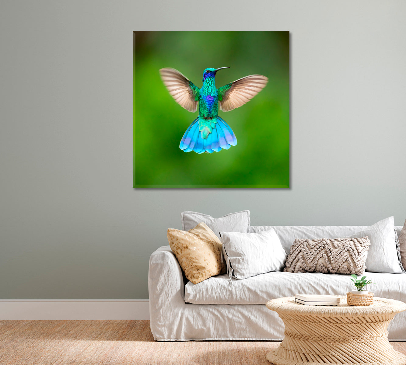 Sparkling Violetear Colibri Coruscans Canvas Print-Canvas Print-CetArt-1 panel-12x12 inches-CetArt