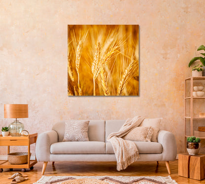 Golden Wheat Field Canvas Print-Canvas Print-CetArt-1 panel-12x12 inches-CetArt
