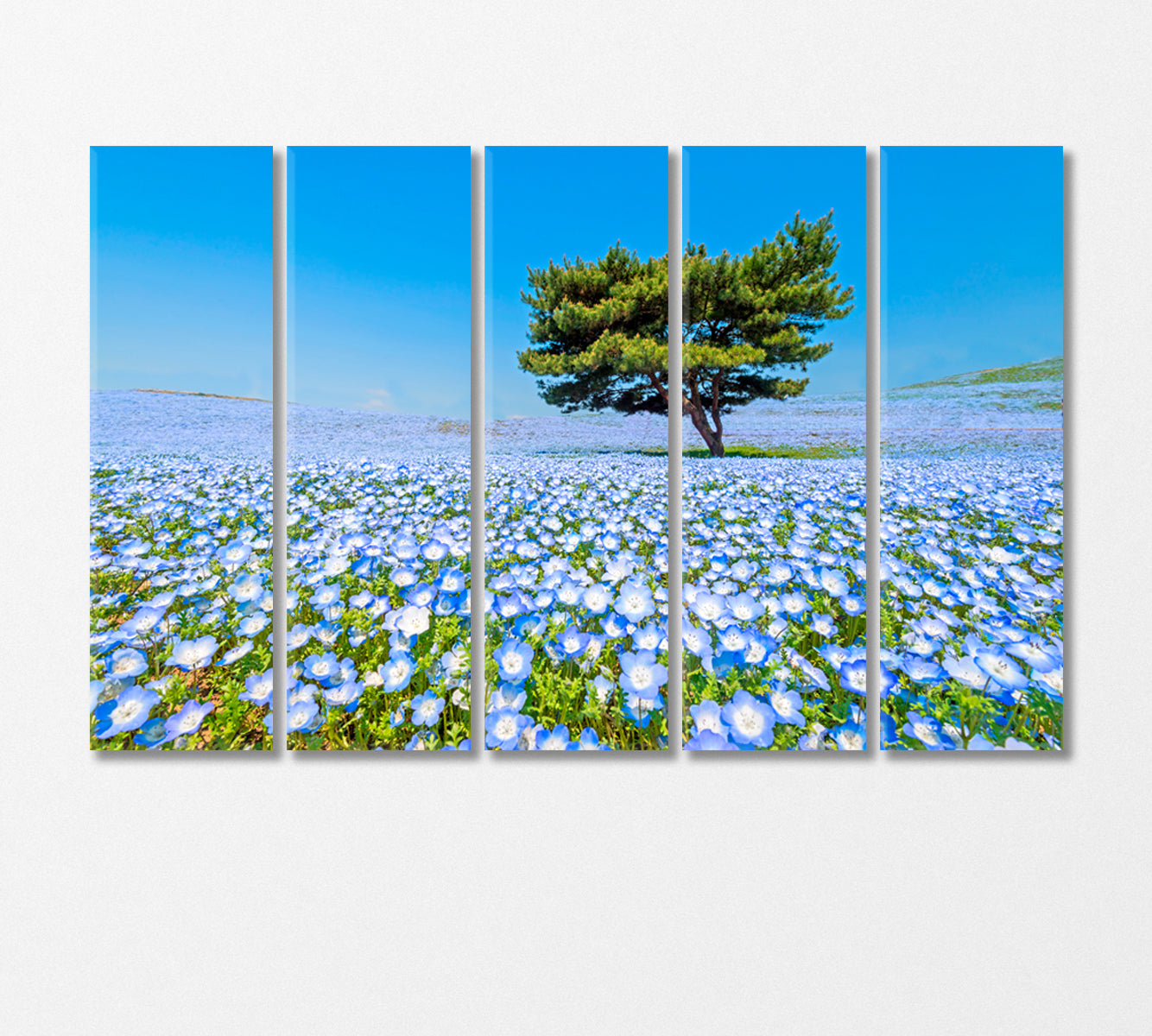 Hitachi National Seaside Park Japan Canvas Print-Canvas Print-CetArt-5 Panels-36x24 inches-CetArt
