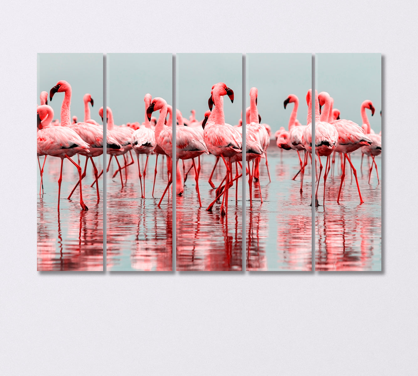 Group of African Red Flamingos Canvas Print-Canvas Print-CetArt-5 Panels-36x24 inches-CetArt