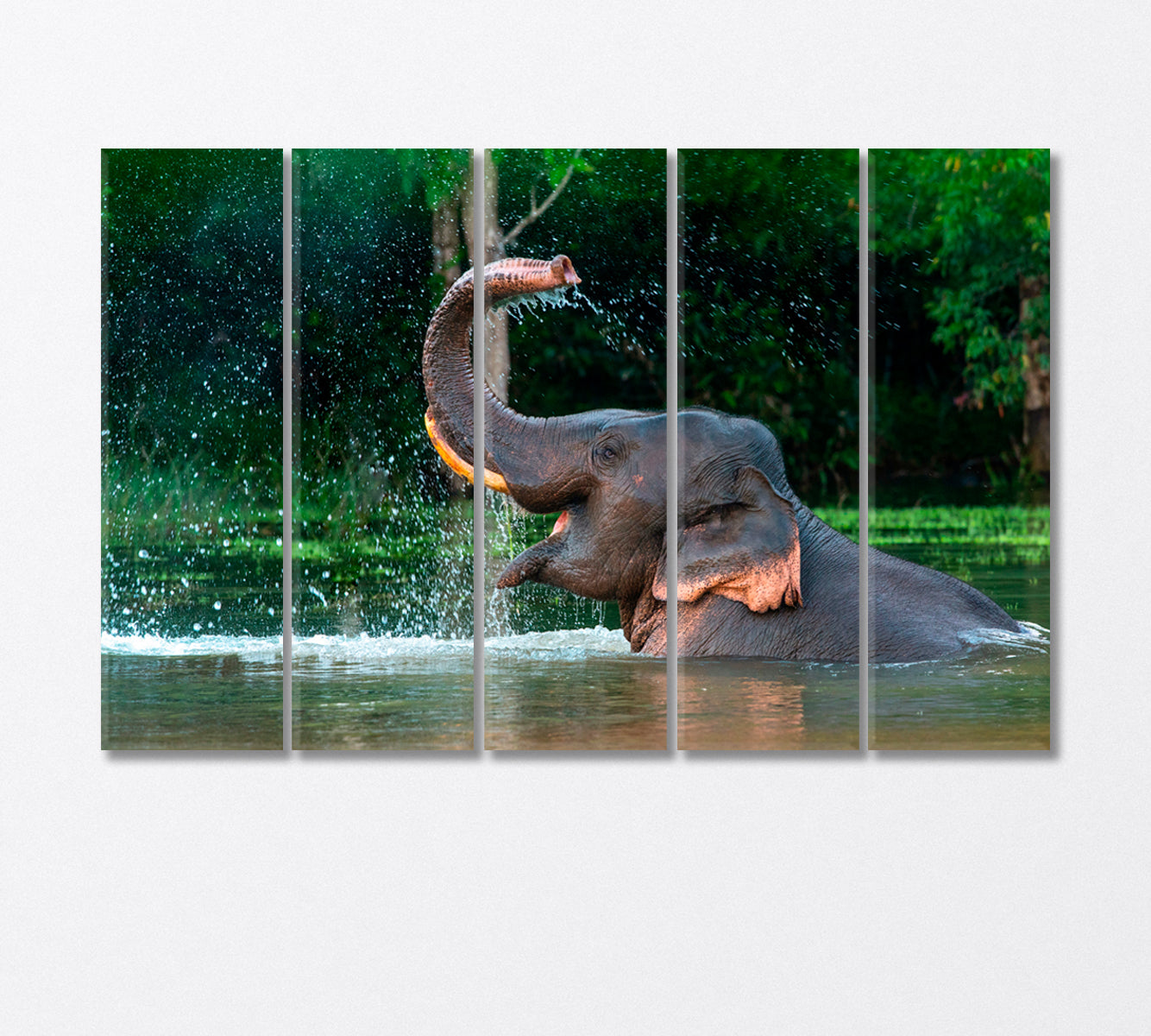 Asian Elephant Enjoying a Bath Canvas Print-Canvas Print-CetArt-5 Panels-36x24 inches-CetArt