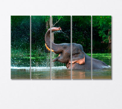 Asian Elephant Enjoying a Bath Canvas Print-Canvas Print-CetArt-5 Panels-36x24 inches-CetArt