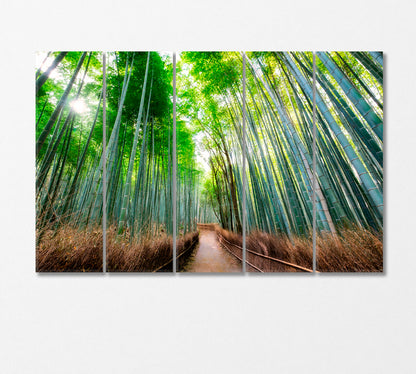 Walkway in Bamboo Forest Kyoto Japan Canvas Print-Canvas Print-CetArt-5 Panels-36x24 inches-CetArt