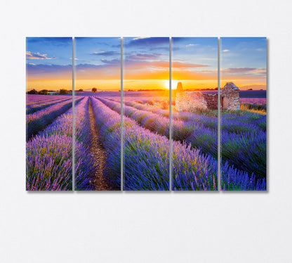Sunset Over Lavender Field Canvas Print-Canvas Print-CetArt-5 Panels-36x24 inches-CetArt
