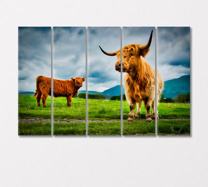 Highland Cows Canvas Print-Canvas Print-CetArt-5 Panels-36x24 inches-CetArt