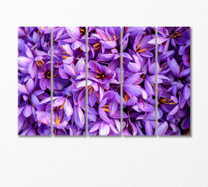 Blooming Saffron Flowers Canvas Print-Canvas Print-CetArt-5 Panels-36x24 inches-CetArt