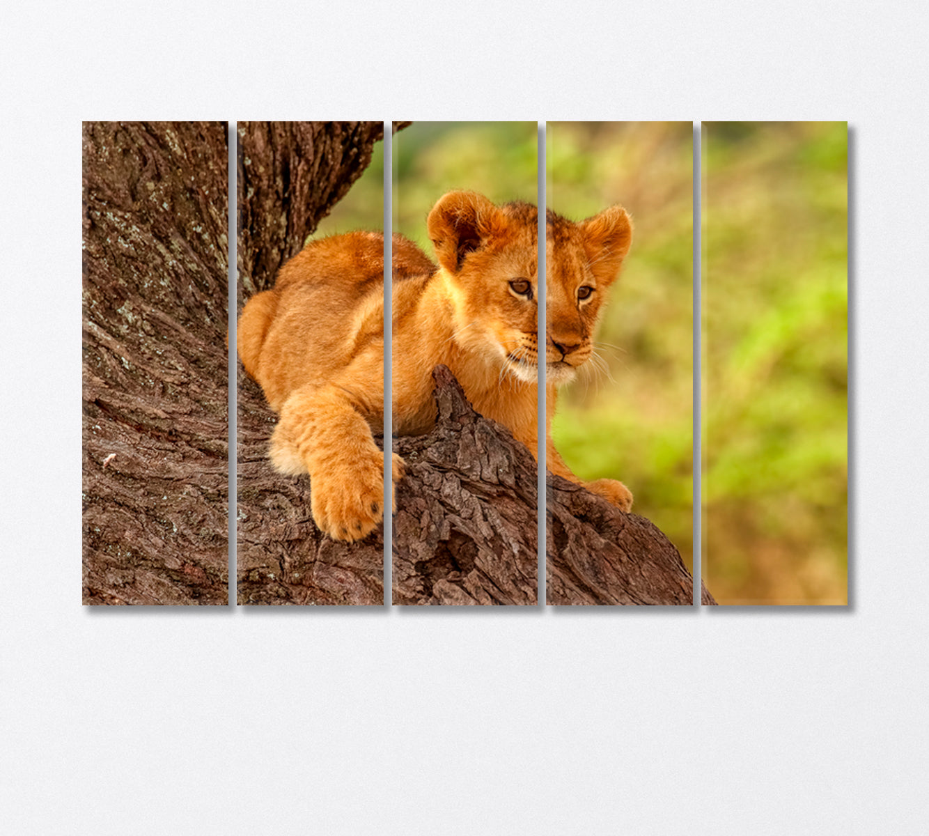 Cute Wild Lion Cub Resting on a Tree Canvas Print-Canvas Print-CetArt-3 Panels-36x24 inches-CetArt