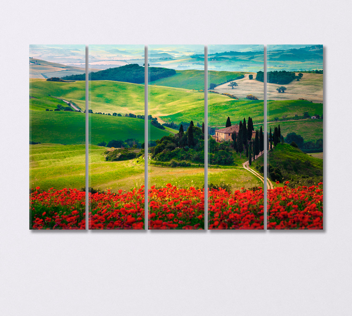 Tuscany with Flower Meadows Italy Canvas Print-Canvas Print-CetArt-5 Panels-36x24 inches-CetArt
