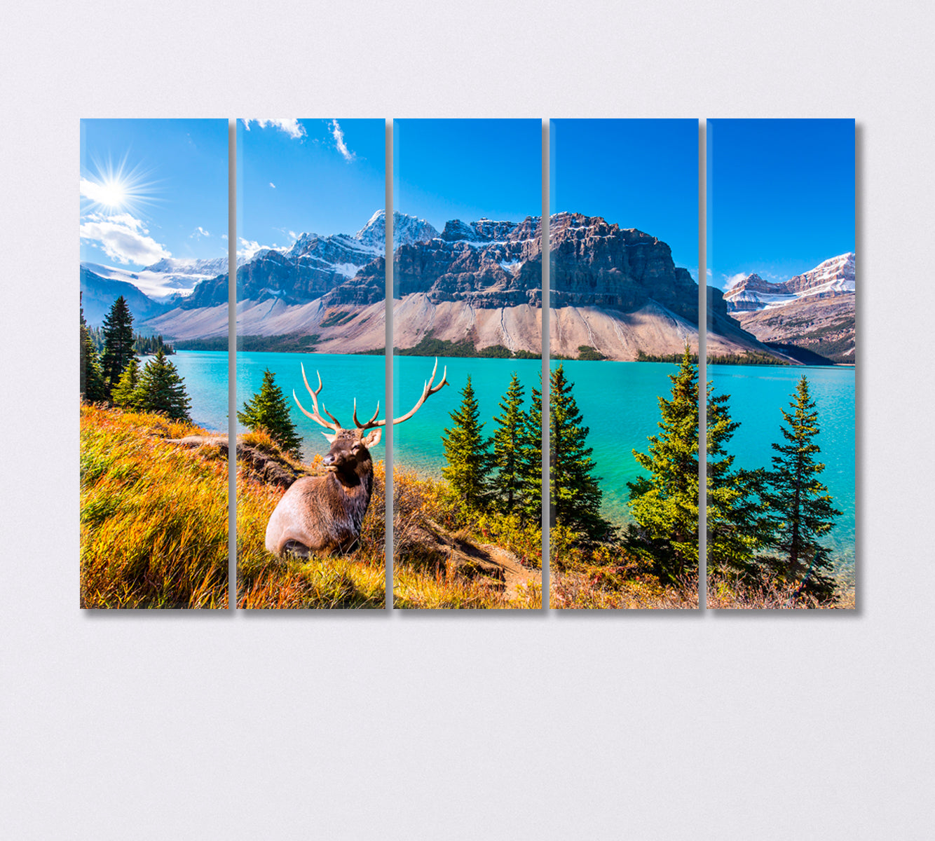 Deer with Forked Antlers near Glacial Lake Bow Canada Canvas Print-Canvas Print-CetArt-5 Panels-36x24 inches-CetArt