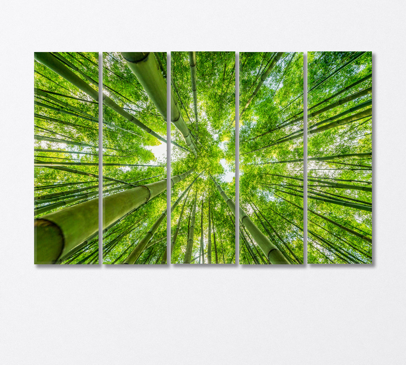 Green Bamboo Forest Bottom View Canvas Print-Canvas Print-CetArt-5 Panels-36x24 inches-CetArt