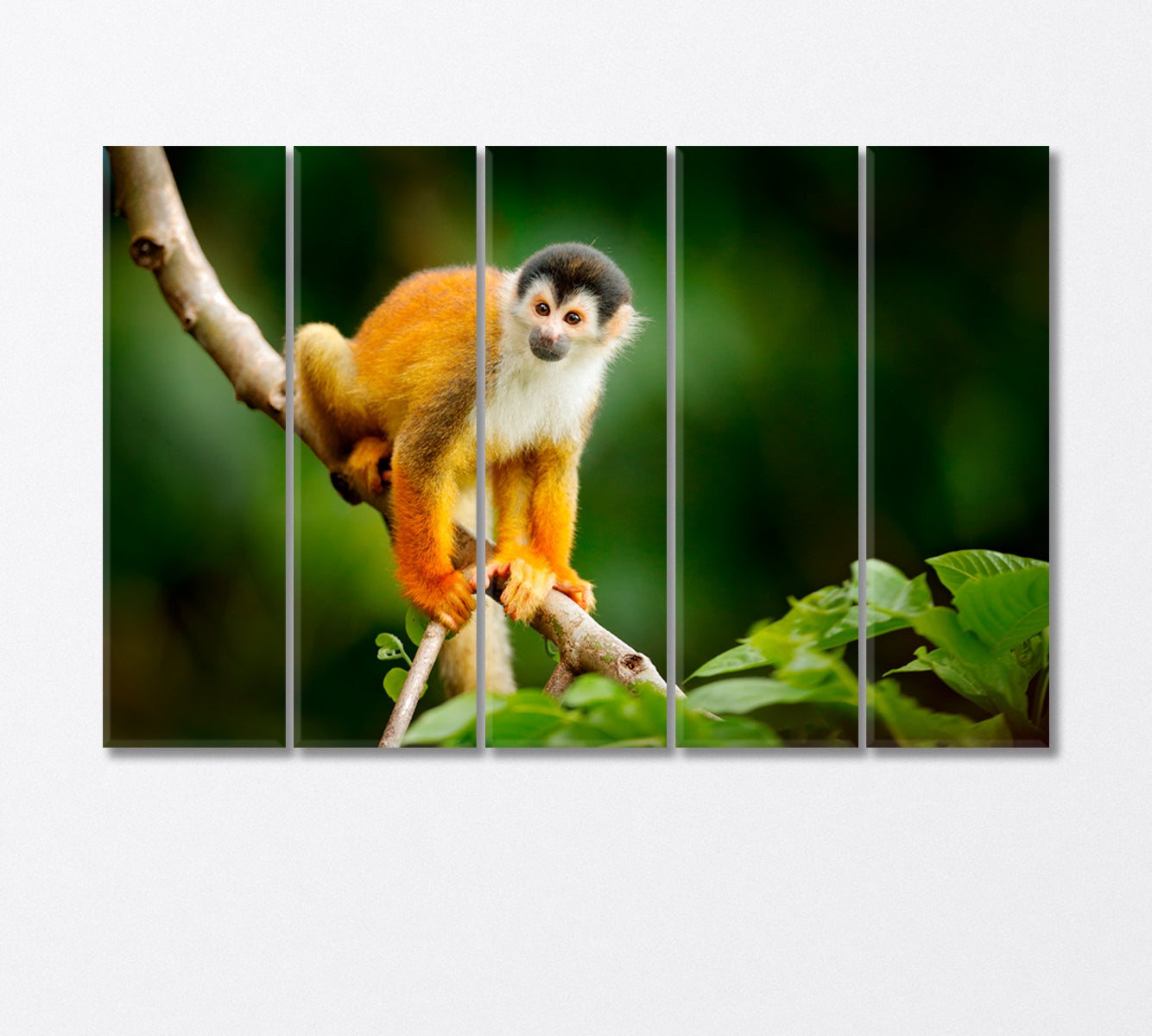 Little Monkey Sitting on a Tree Canvas Print-Canvas Print-CetArt-5 Panels-36x24 inches-CetArt