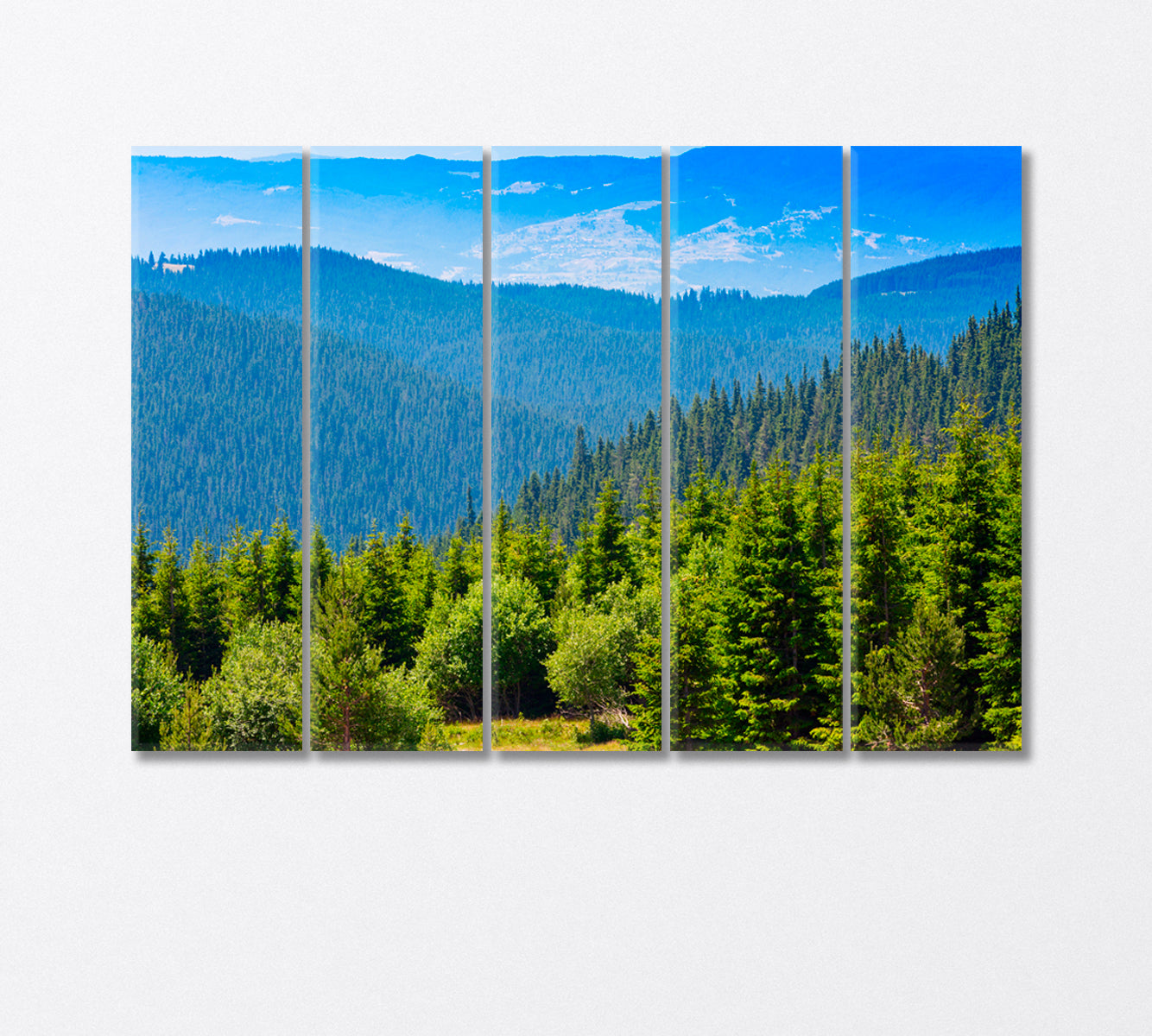 Aerial View of the Pine Forest Canvas Print-Canvas Print-CetArt-5 Panels-36x24 inches-CetArt