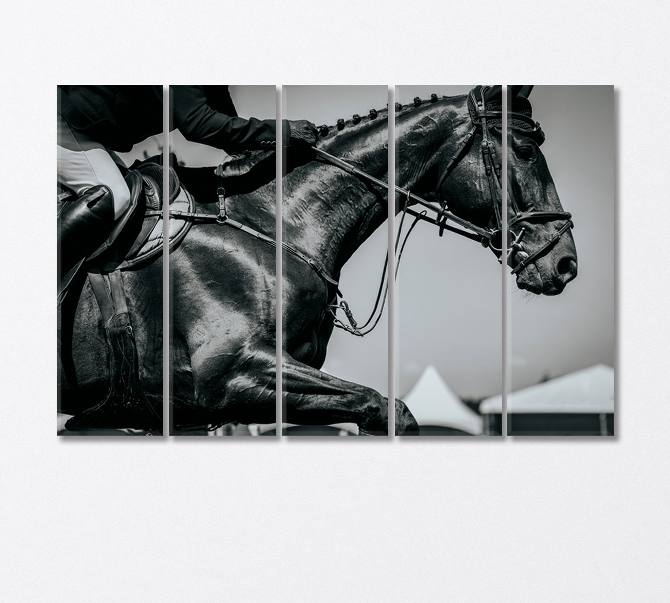 Equestrian Sports Canvas Print-Canvas Print-CetArt-5 Panels-36x24 inches-CetArt