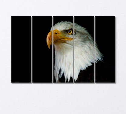 National American Bird of Prey Eagle Canvas Print-Canvas Print-CetArt-5 Panels-36x24 inches-CetArt