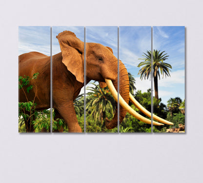 African Elephant Canvas Print-Canvas Print-CetArt-5 Panels-36x24 inches-CetArt