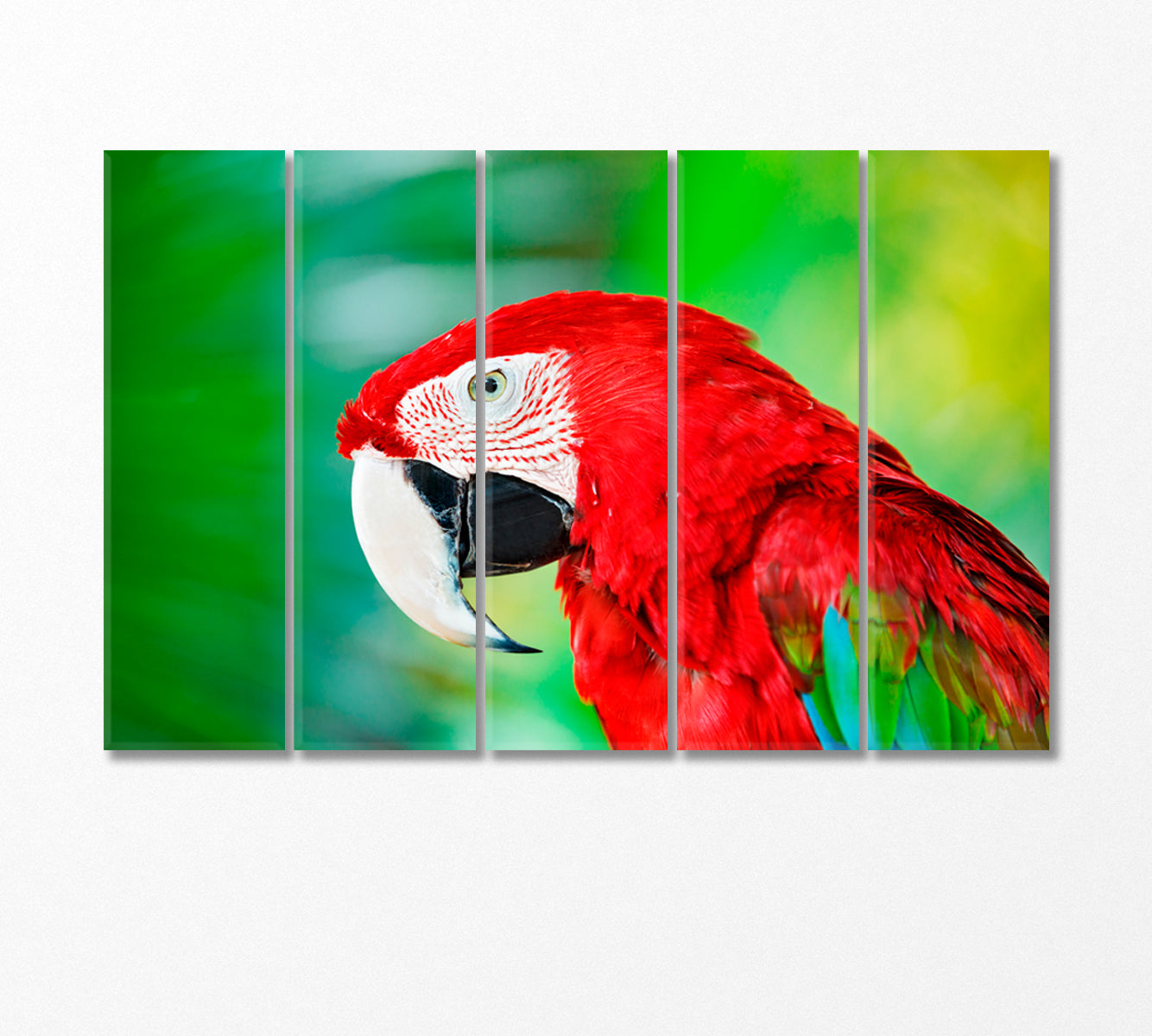 Red Exotic Parrot Macaw Canvas Print-Canvas Print-CetArt-5 Panels-36x24 inches-CetArt