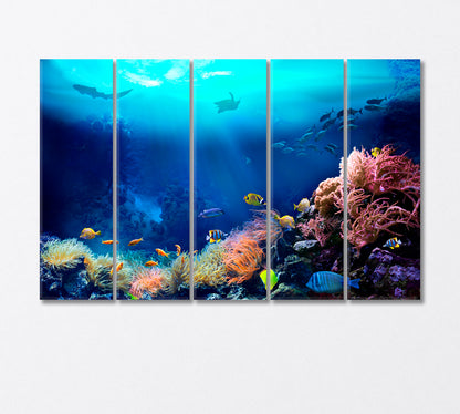 Underwater World Coral Reefs Canvas Print-Canvas Print-CetArt-5 Panels-36x24 inches-CetArt