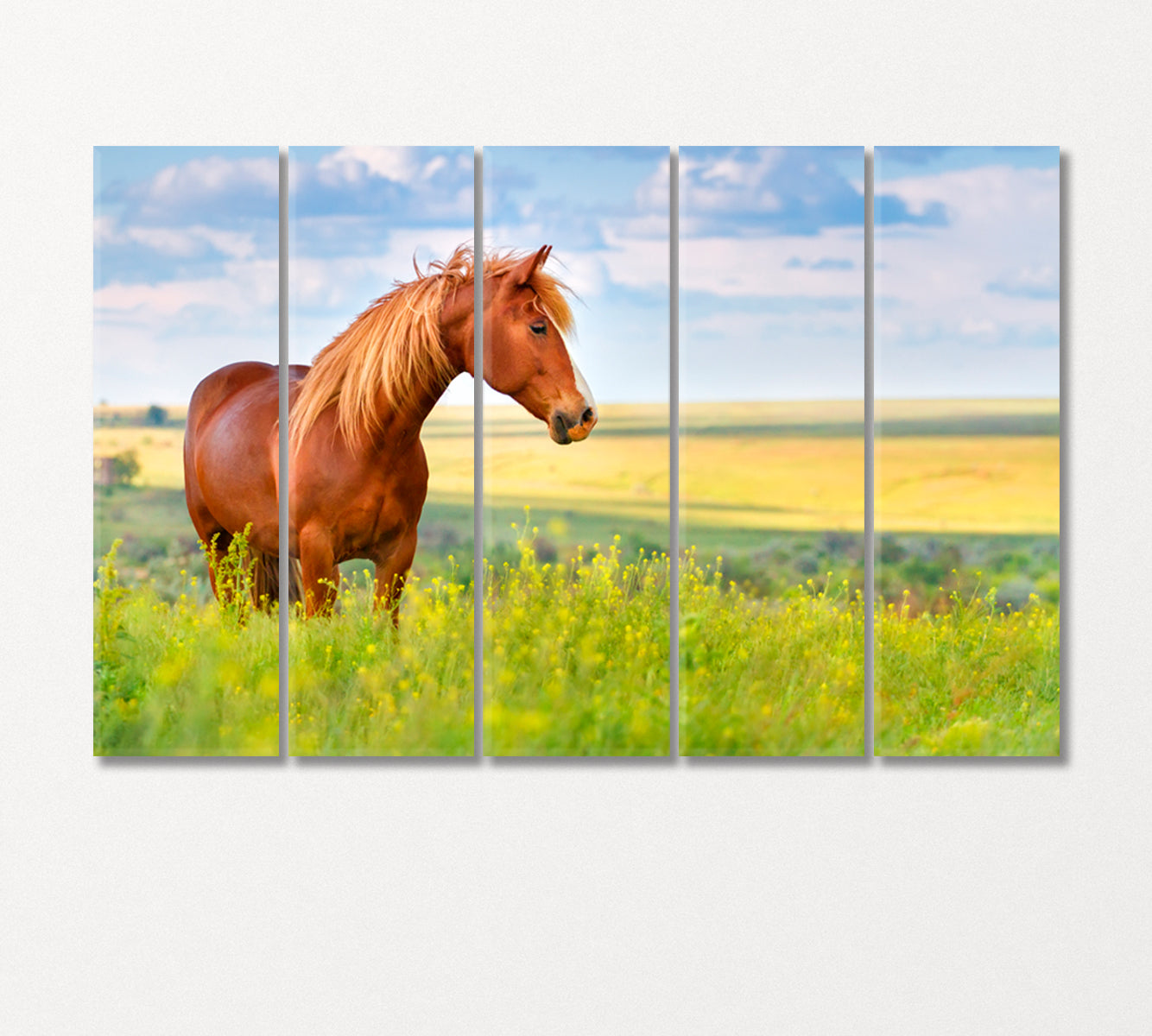Red Horse in Flower Field Canvas Print-Canvas Print-CetArt-5 Panels-36x24 inches-CetArt