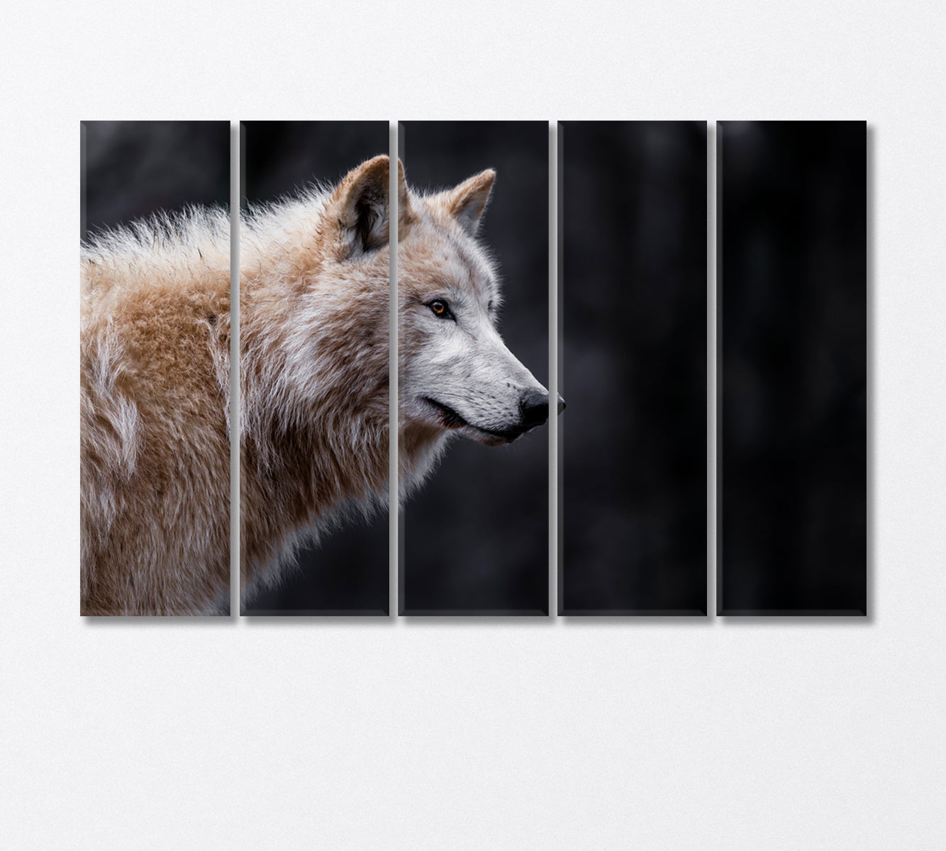 Arctic Wolf Canvas Print-Canvas Print-CetArt-5 Panels-36x24 inches-CetArt