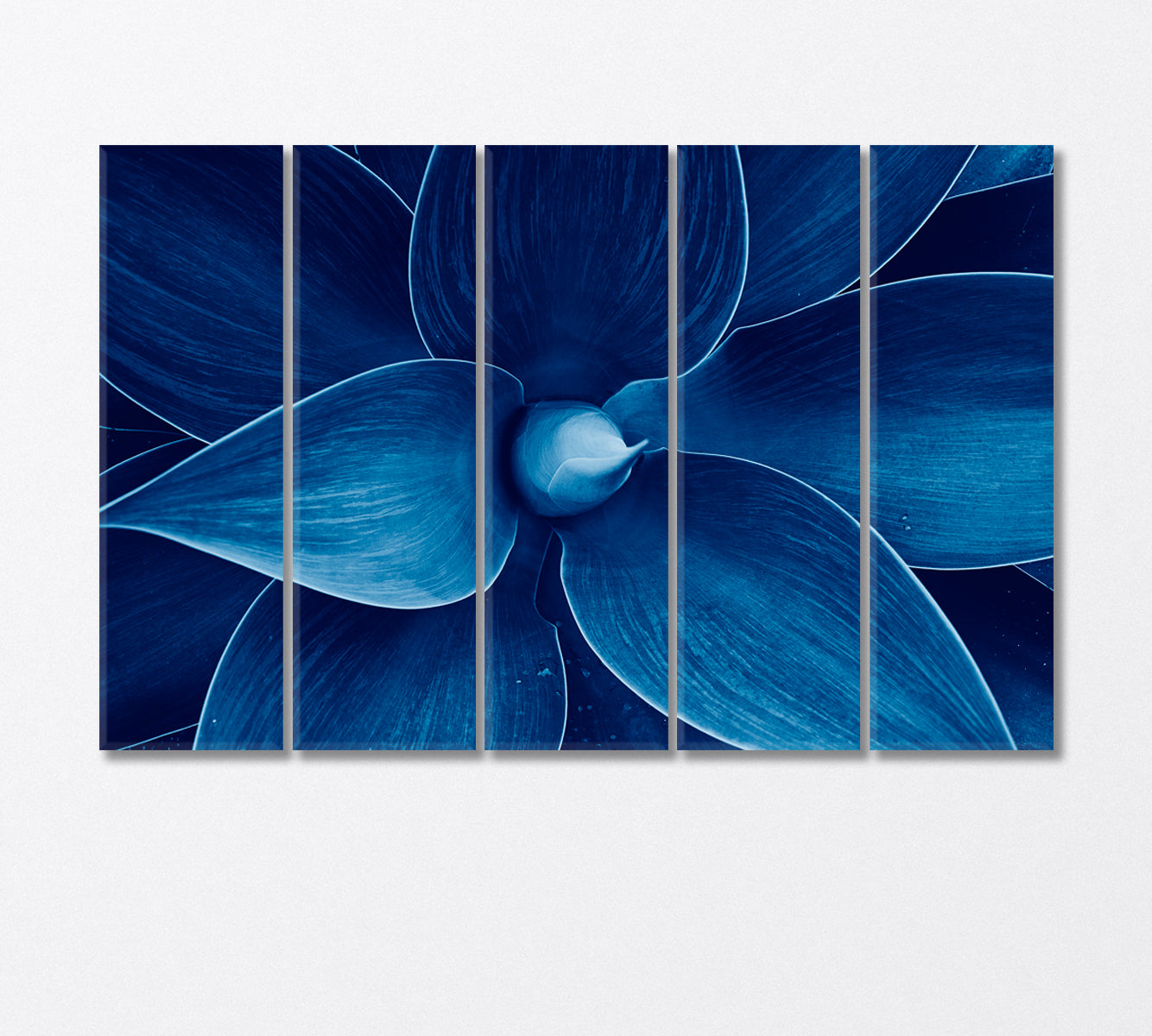 Blue Agave Canvas Print-Canvas Print-CetArt-5 Panels-36x24 inches-CetArt