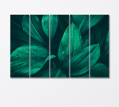 Water Droplets on Green Foliage in Tropical Rainforest Canvas Print-Canvas Print-CetArt-5 Panels-36x24 inches-CetArt