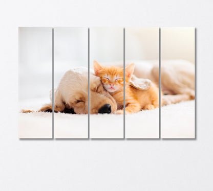Cat and Puppy Sleeping Together Canvas Print-Canvas Print-CetArt-5 Panels-36x24 inches-CetArt