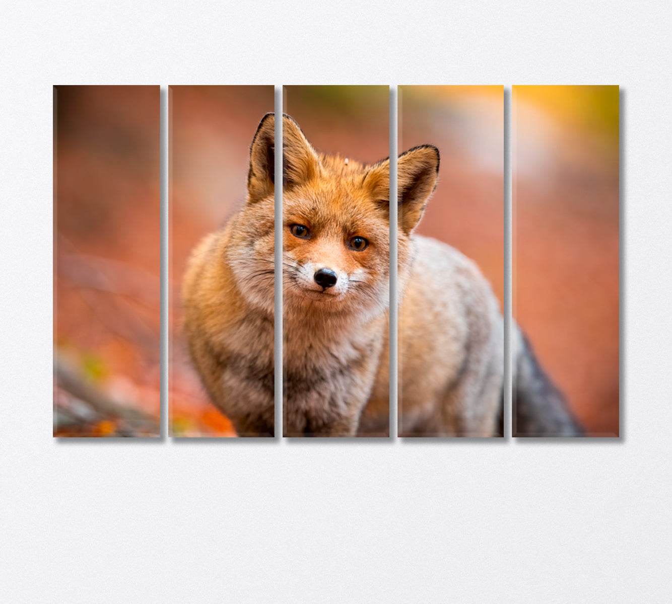 Red Furry Fox Canvas Print-Canvas Print-CetArt-5 Panels-36x24 inches-CetArt
