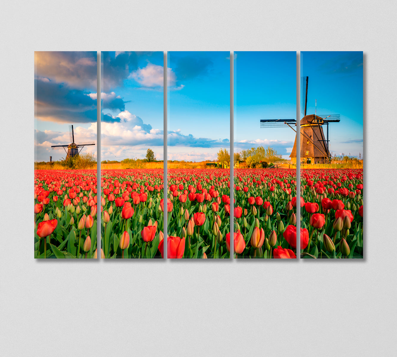 Tulip Field and Two Windmills Holland Canvas Print-Canvas Print-CetArt-5 Panels-36x24 inches-CetArt