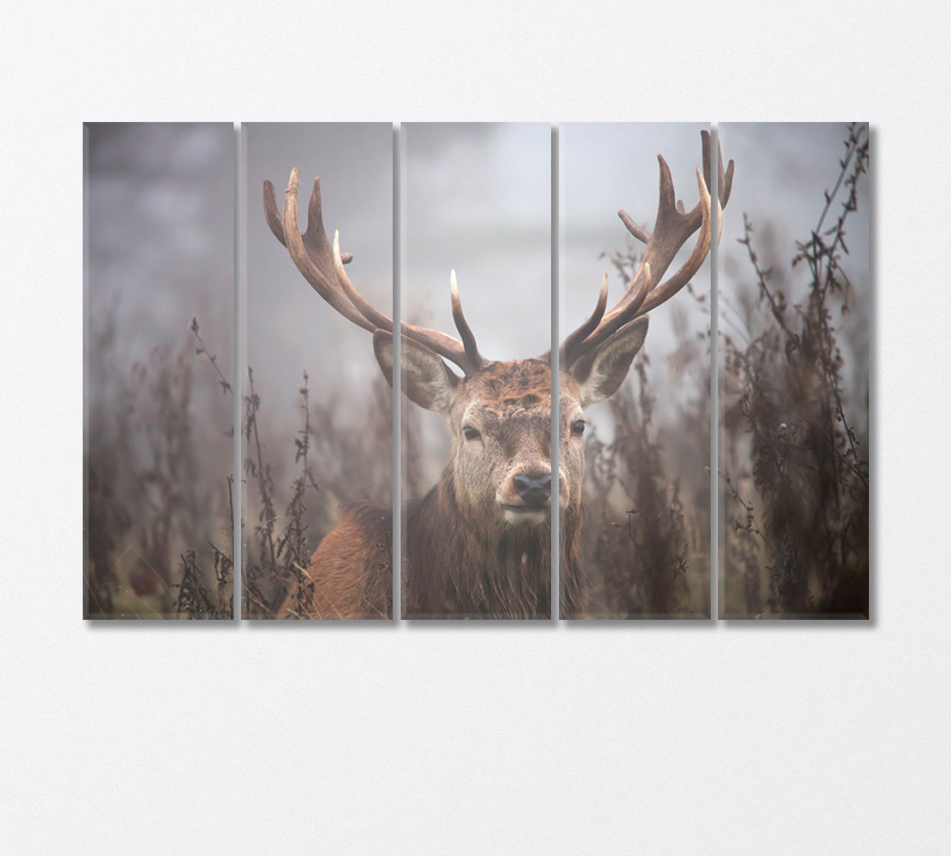 Deer in the Fog Wildlife Canvas Print-Canvas Print-CetArt-5 Panels-36x24 inches-CetArt