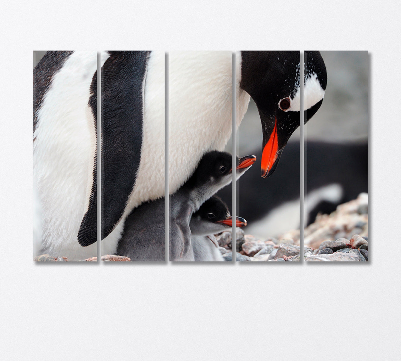 Caring Penguin with Two Chicks Canvas Print-Canvas Print-CetArt-5 Panels-36x24 inches-CetArt