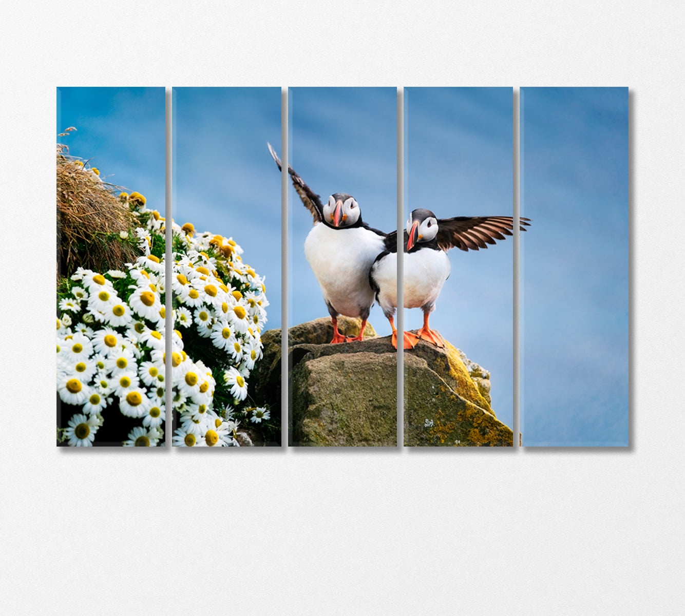 Seabirds Puffins Canvas Print-Canvas Print-CetArt-5 Panels-36x24 inches-CetArt