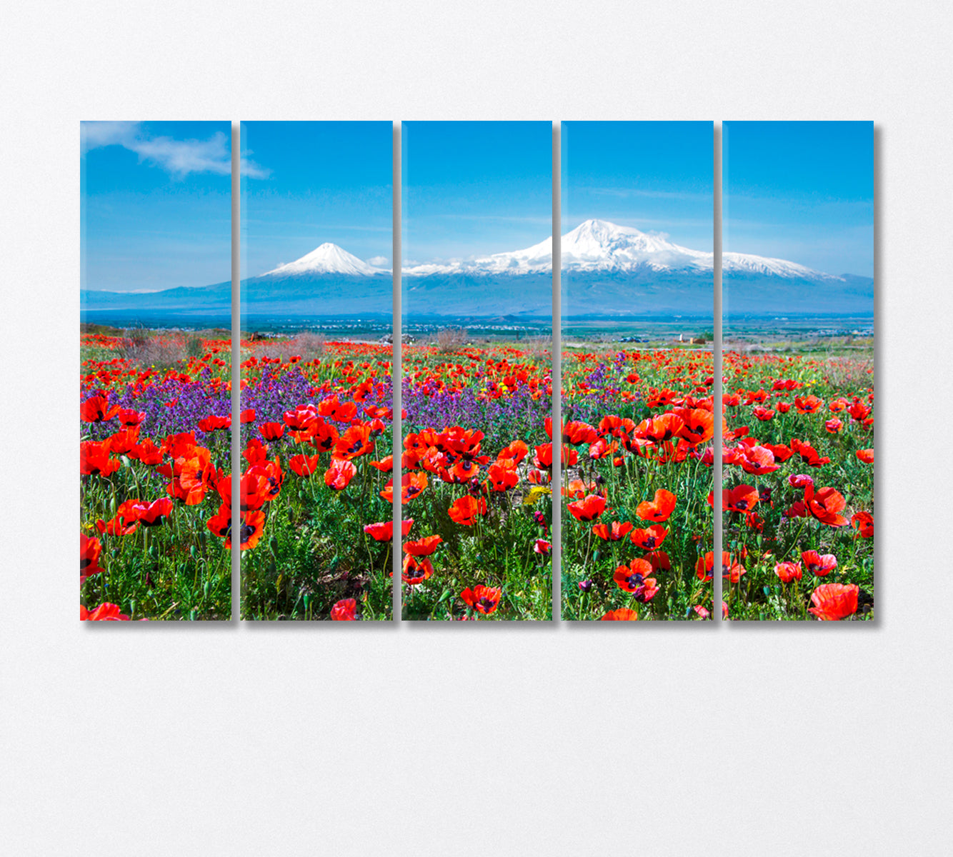 Poppy Field near Mount Ararat Armenia Canvas Print-Canvas Print-CetArt-5 Panels-36x24 inches-CetArt