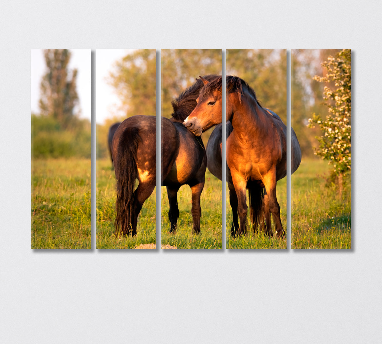 Pair of Exmoor Ponies Canvas Print-Canvas Print-CetArt-5 Panels-36x24 inches-CetArt