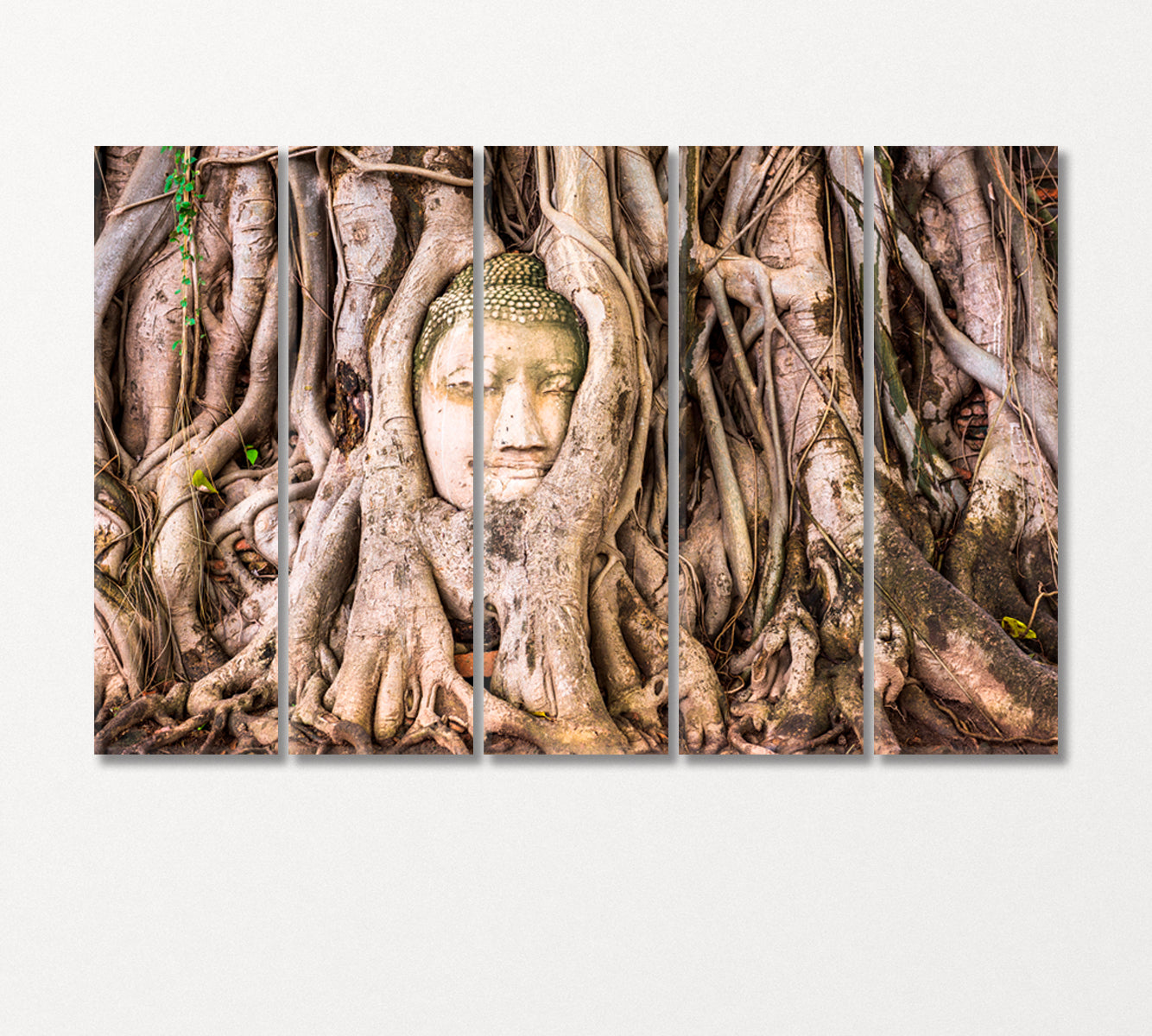 Buddha Head in Roots of Old Tree Banyan Thailand Canvas Print-Canvas Print-CetArt-5 Panels-36x24 inches-CetArt