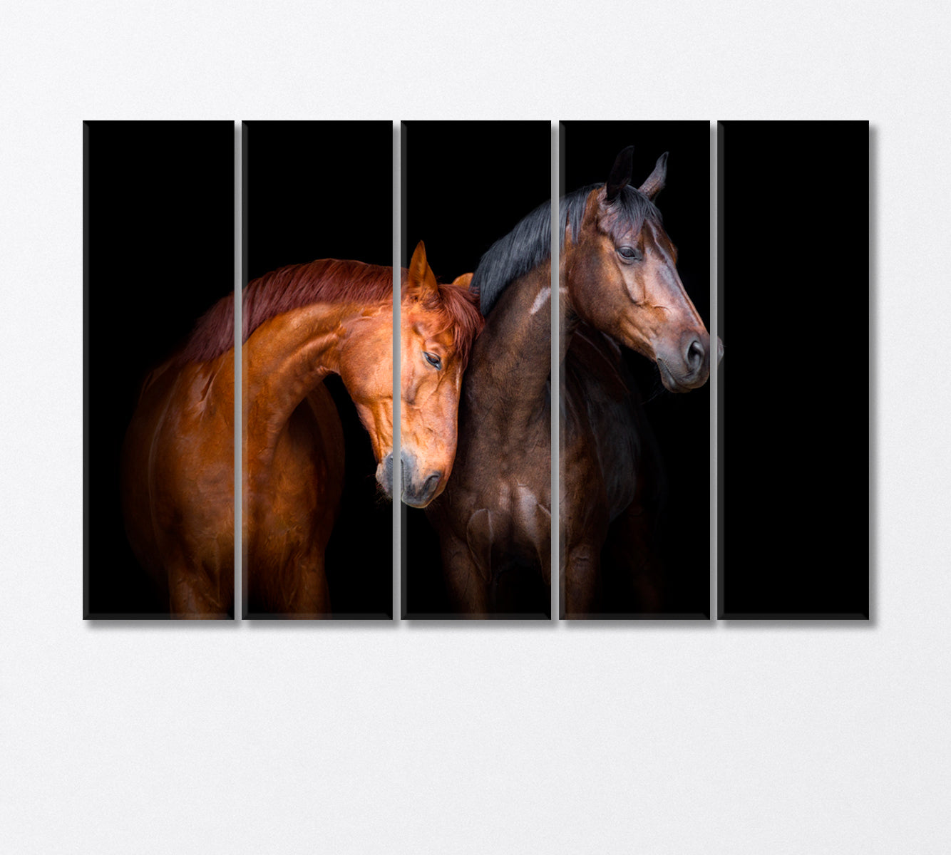 Two Horse Close Up Canvas Print-Canvas Print-CetArt-5 Panels-36x24 inches-CetArt